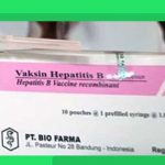 vaksin hepatitis B bayi baru lahir